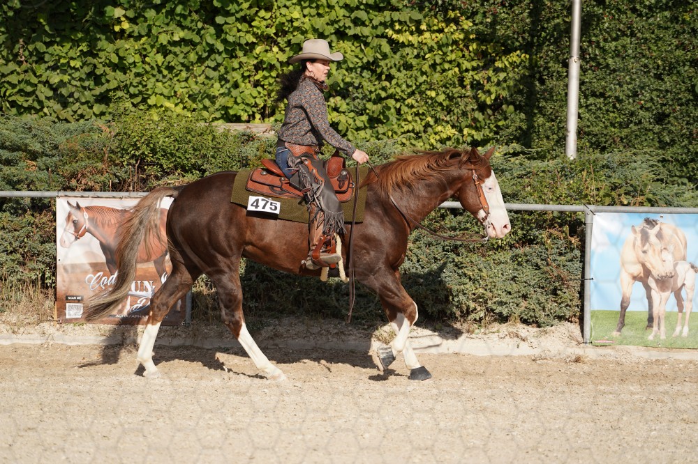 s_A_908481.JPG